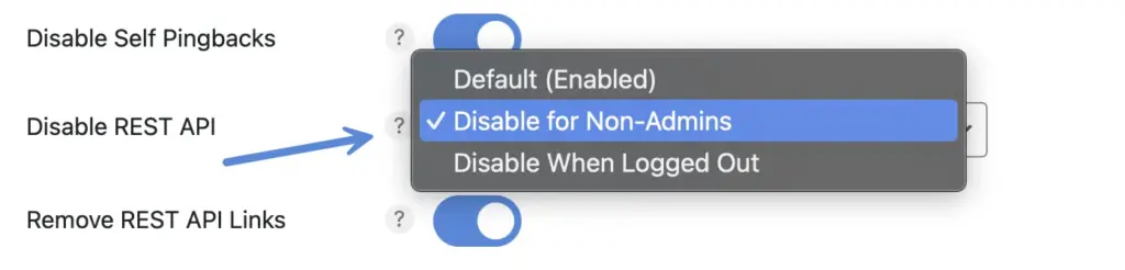 disable wordpress rest api perfmatters v3.png